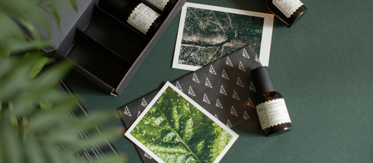 Crea tu perfume de acuerdo a tu personalidad